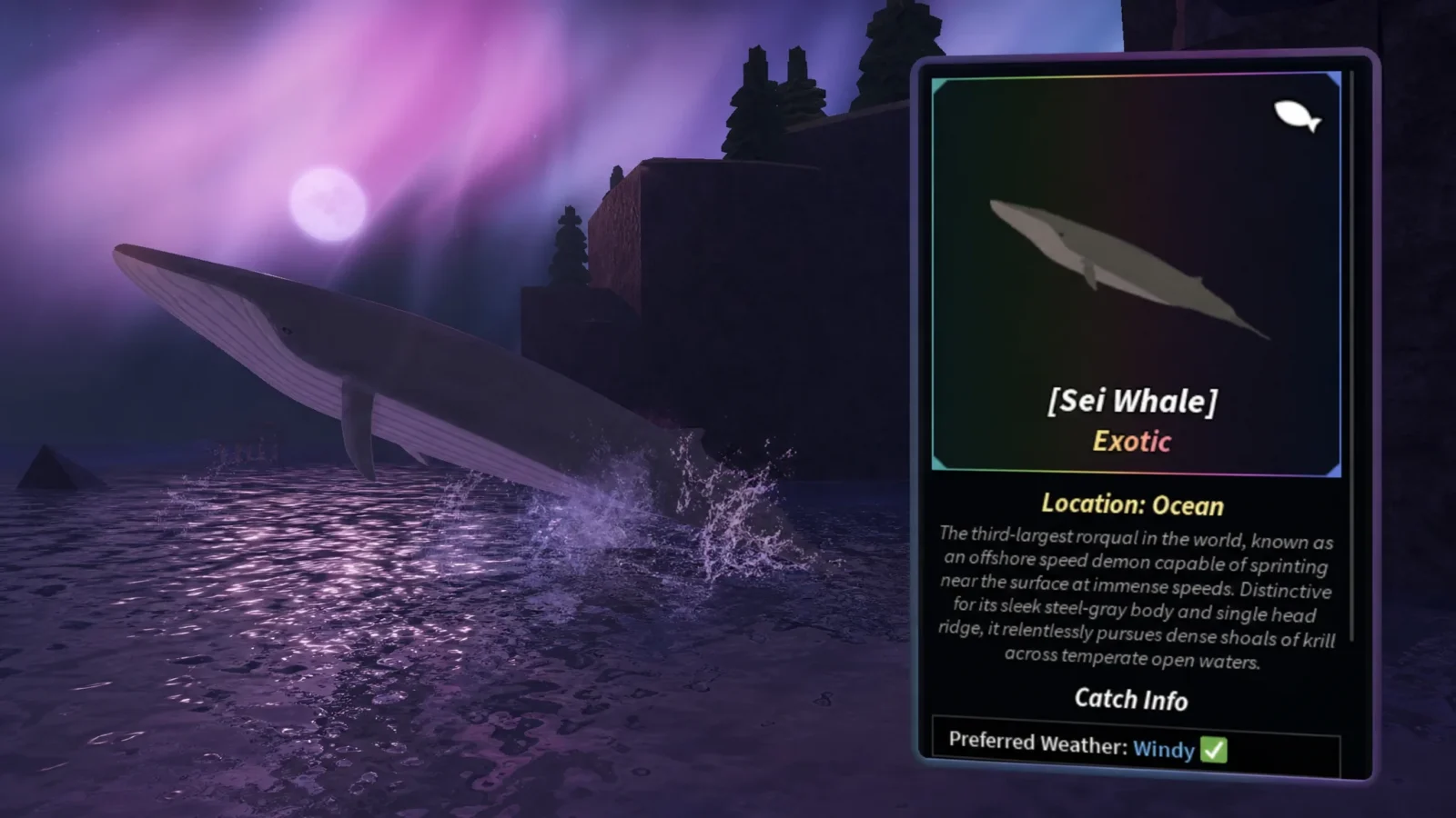 Fisch: How and Where to Catch the Sei Whale