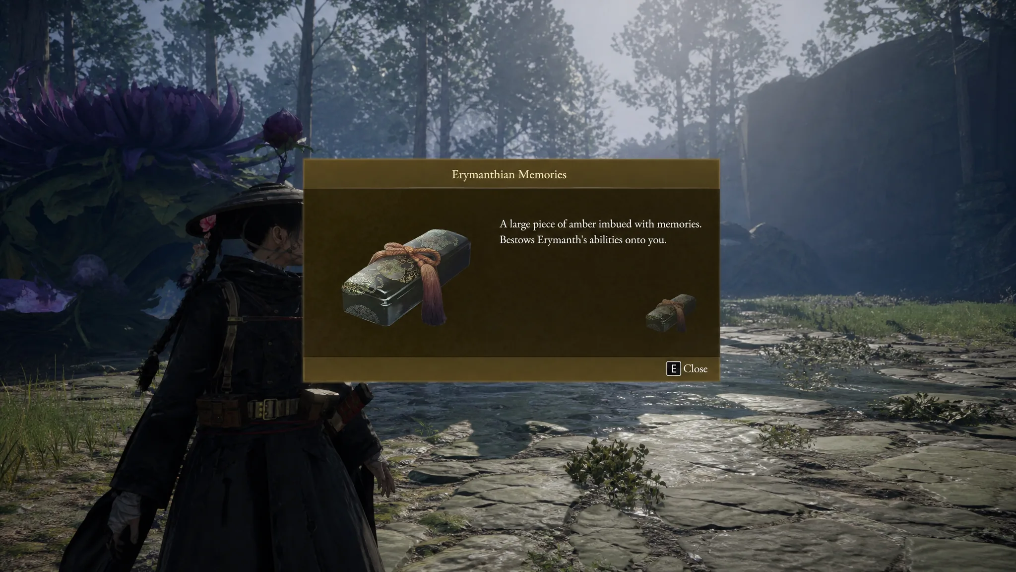 The Erymanthian Memories item is shown in Beast of Reincarnation