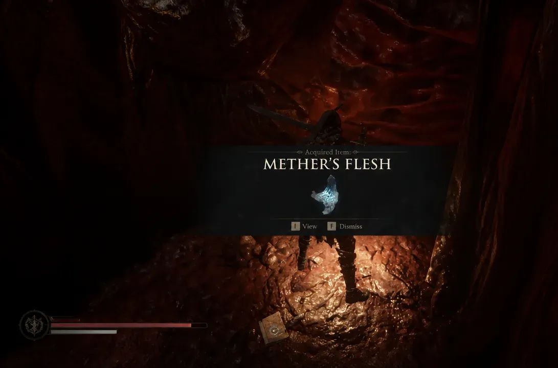 Acquired Item notification showing Mether's Flesh with View and Dismiss options