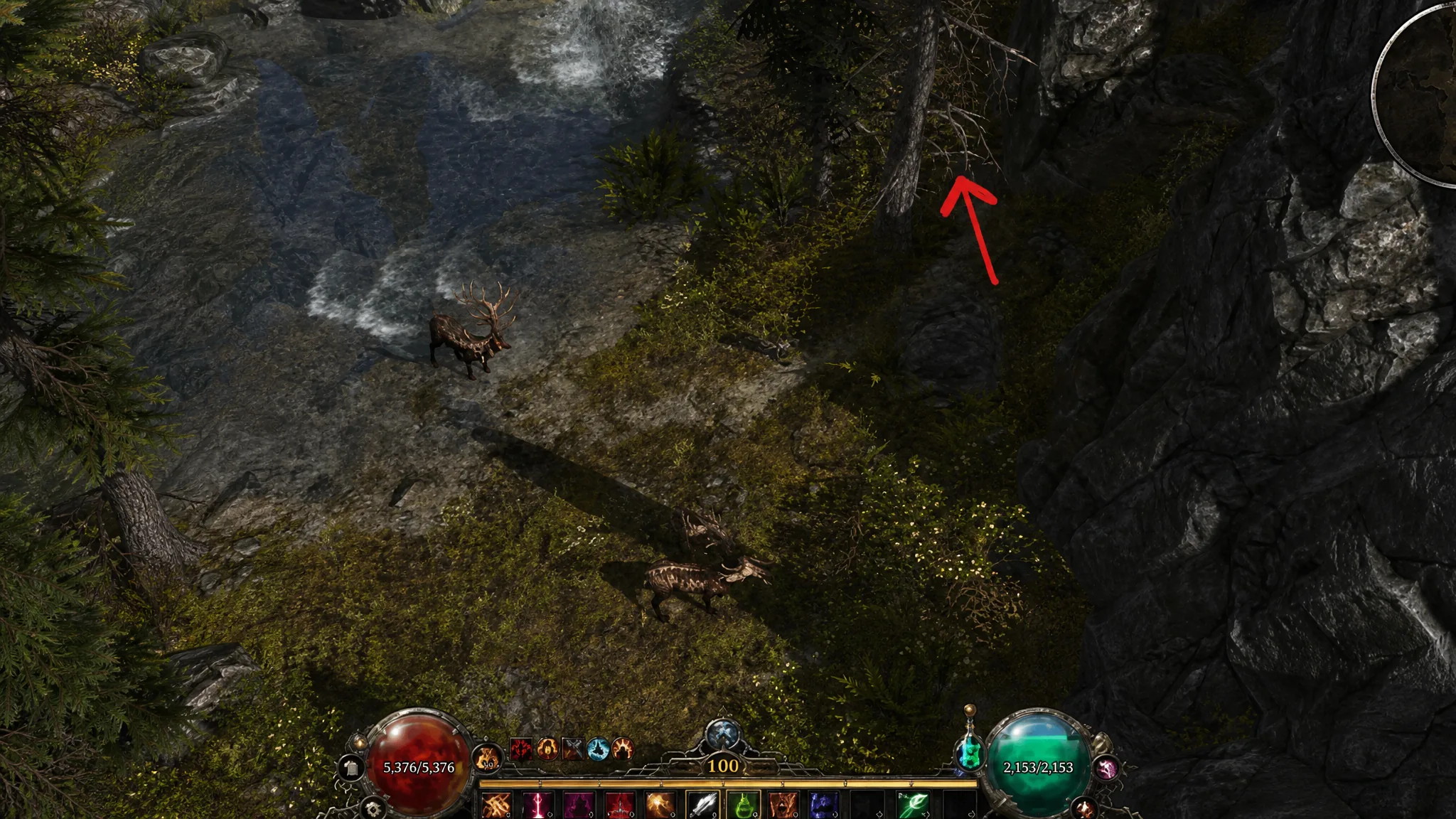 Grim Dawn Fangs of Asterkarn Ulo's Springs Secret Passage Path