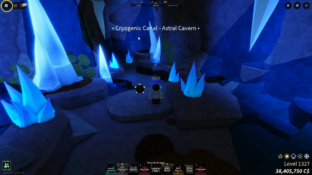 The dark cave opening that leads into the Cryogenic Canal Astral Cavern