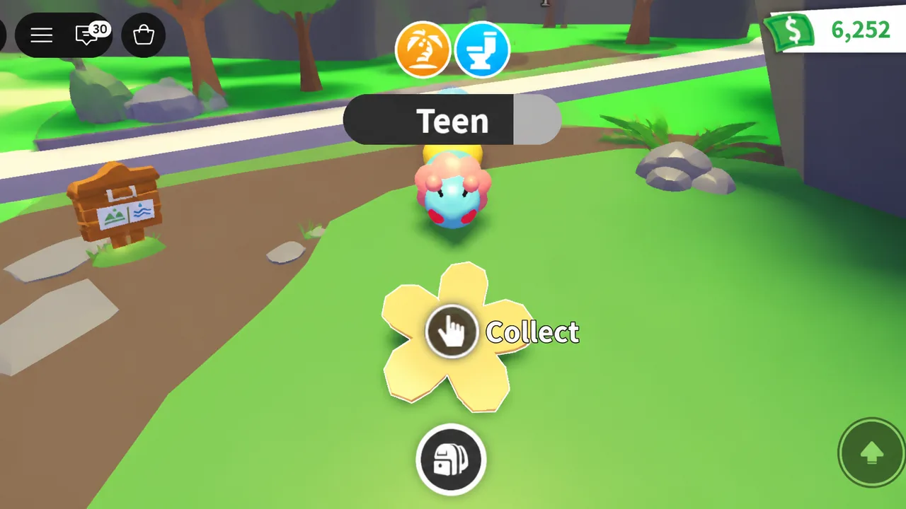 Collect prompt over a flower-shaped item near a pet