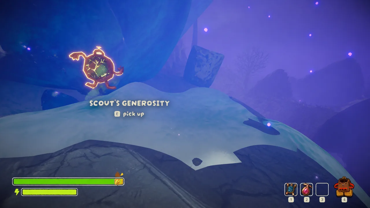 Scout's Generosity