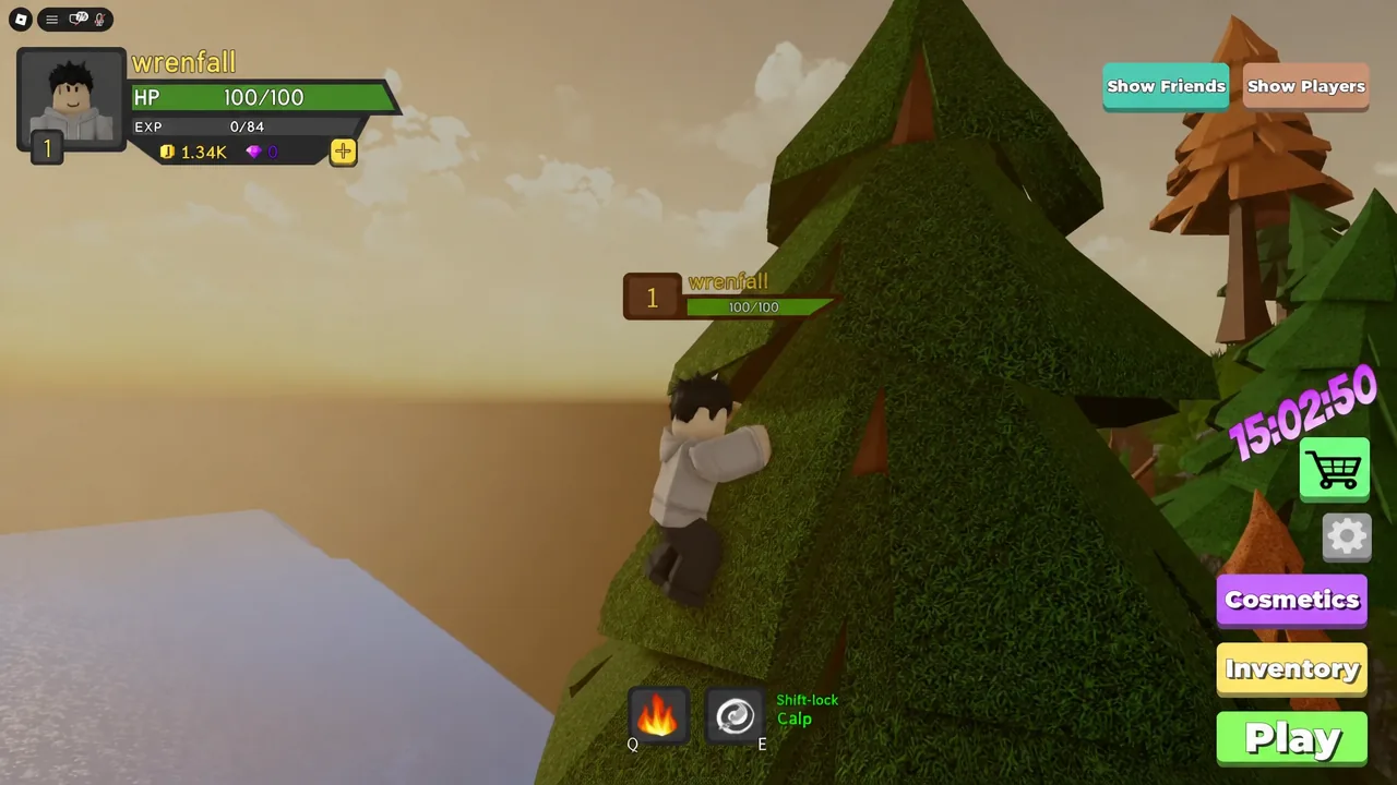 Dungeon Quest Reborn gameplay HUD with the green Play button visible during a run