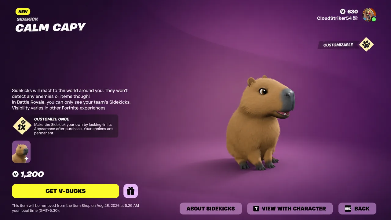 Calm Capy Sidekick in the Fortnite Item Shop