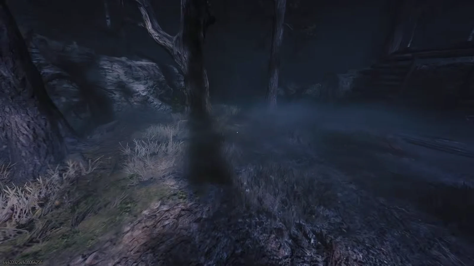 Dark foggy forest path with trees and rocky terrain during the Teddy Bear collection challenge