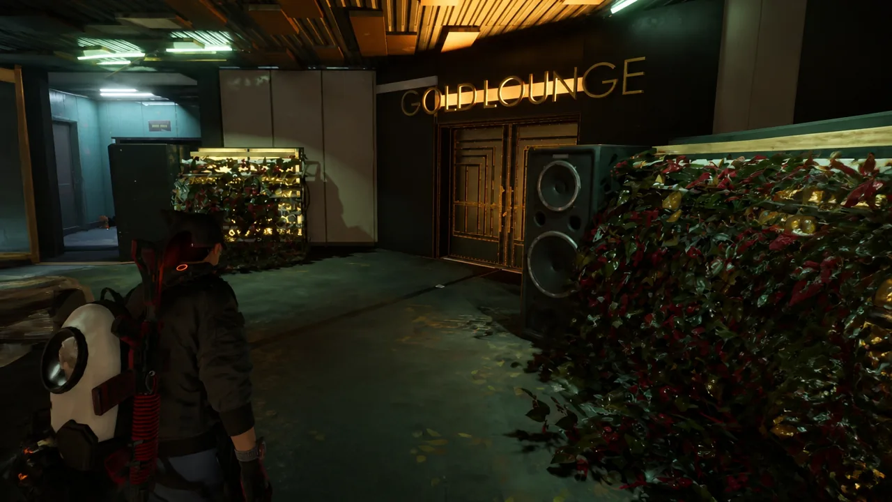 Approaching the Gold Lounge entrance