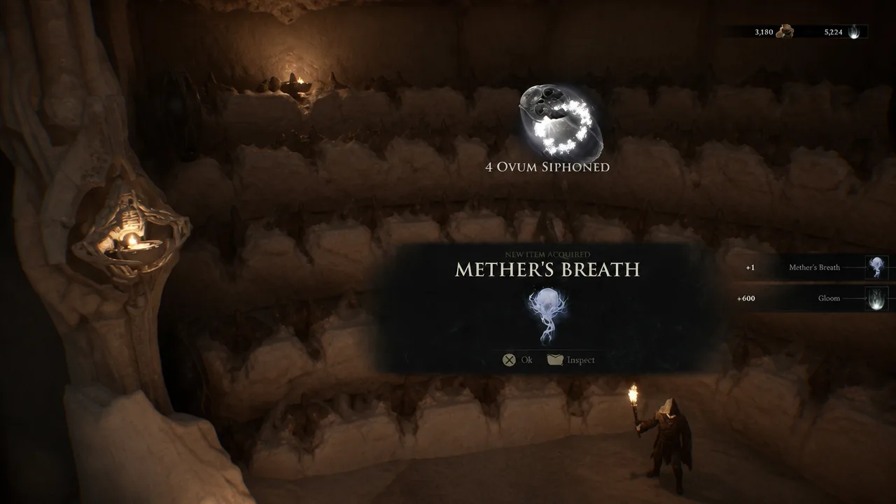 New Item Acquired pop-up showing Mether's Breath after siphoning Ovum