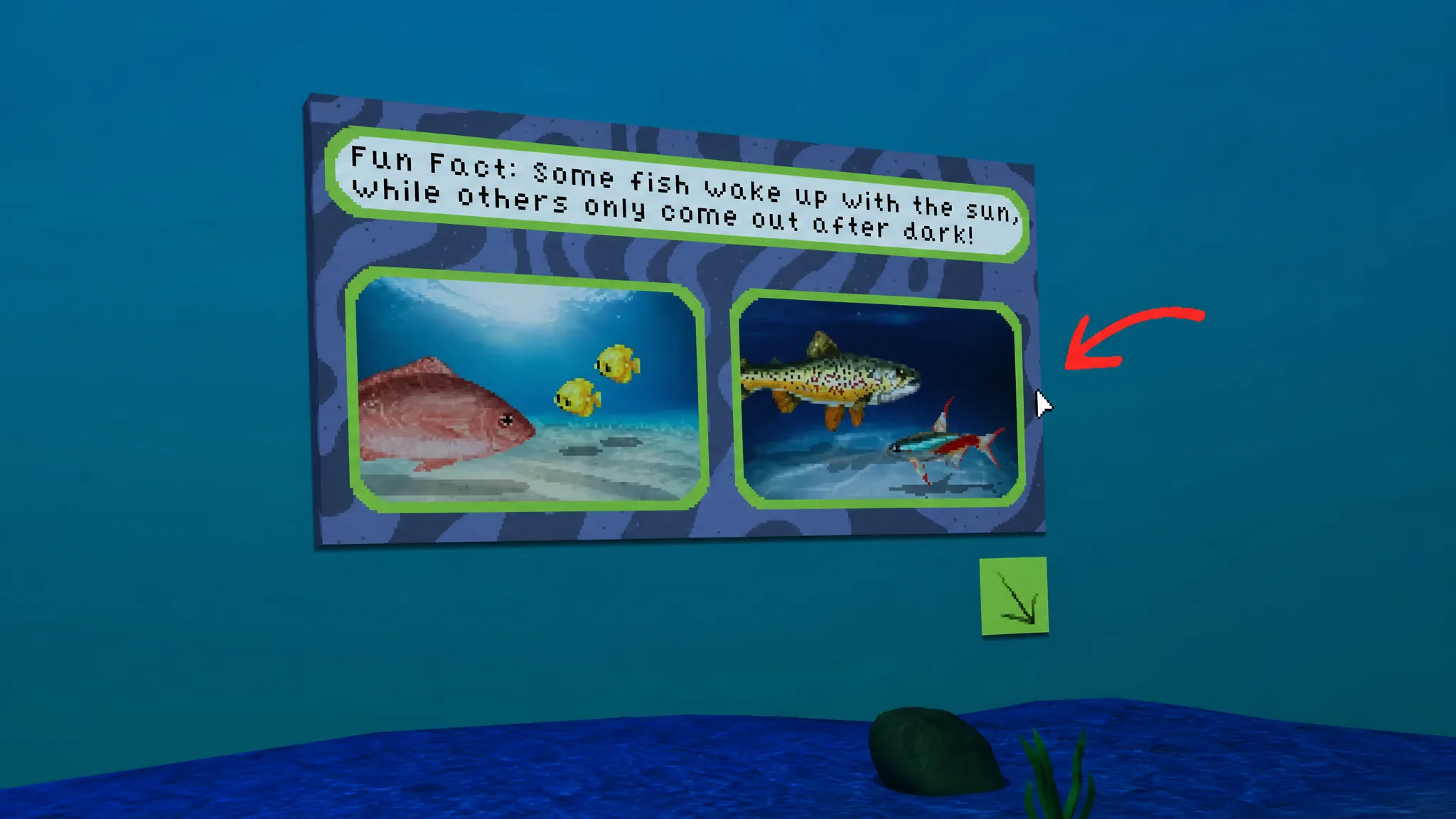 All 18 Endacopia Fish by Time of Day