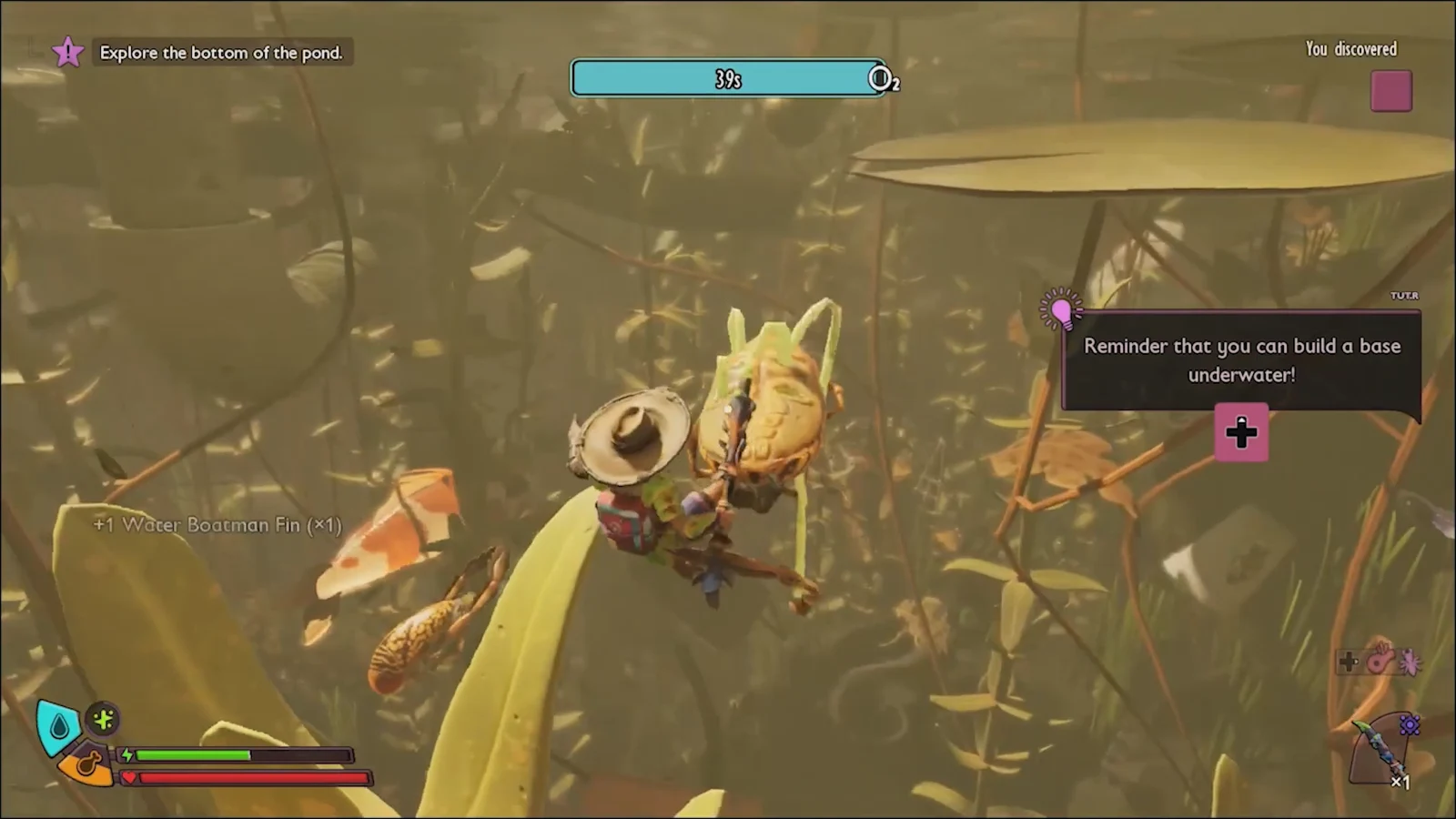 Player collecting a Water Boatman Fin underwater with an on-screen prompt to explore the pond bottom