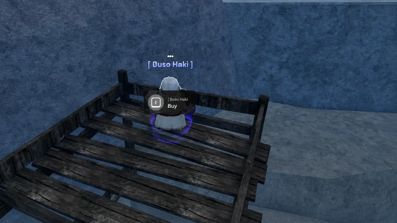 Buso Haki NPC prompt showing press E to buy Buso Haki