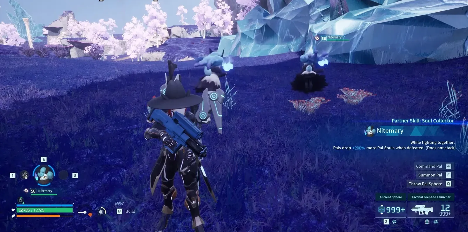 Combat notification reading Nitemary drops x1 Small Pal Soul with Soul Collector active