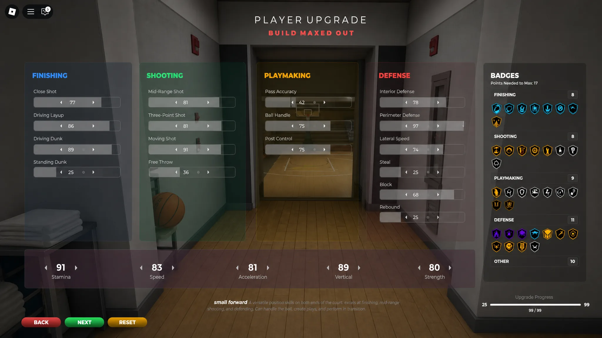 Practical Basketball LeBron James build