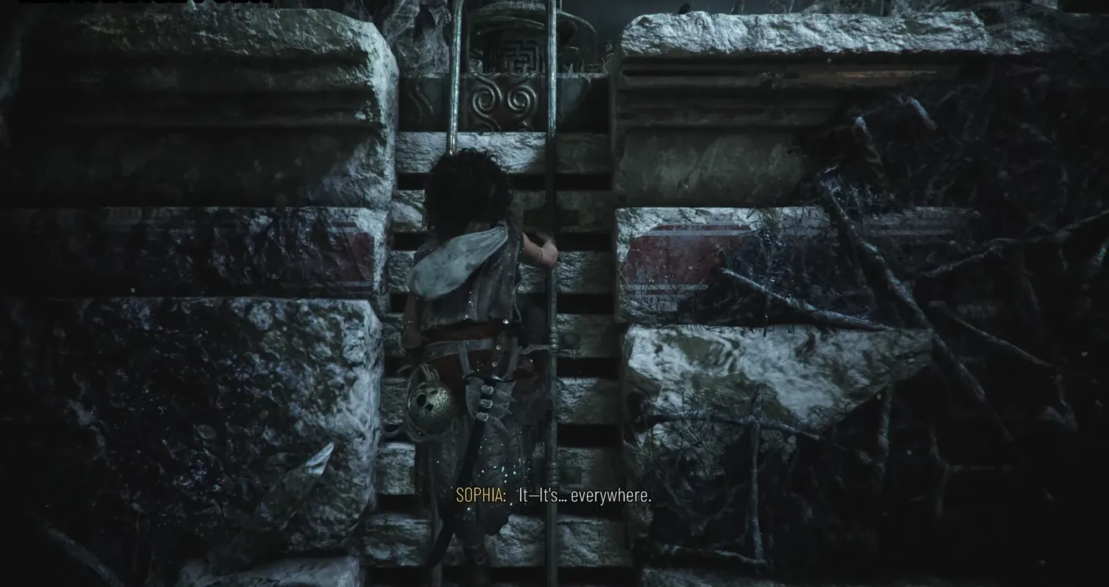 Sophia climbing a vertical ladder up a cavern wall to reach a higher ledge