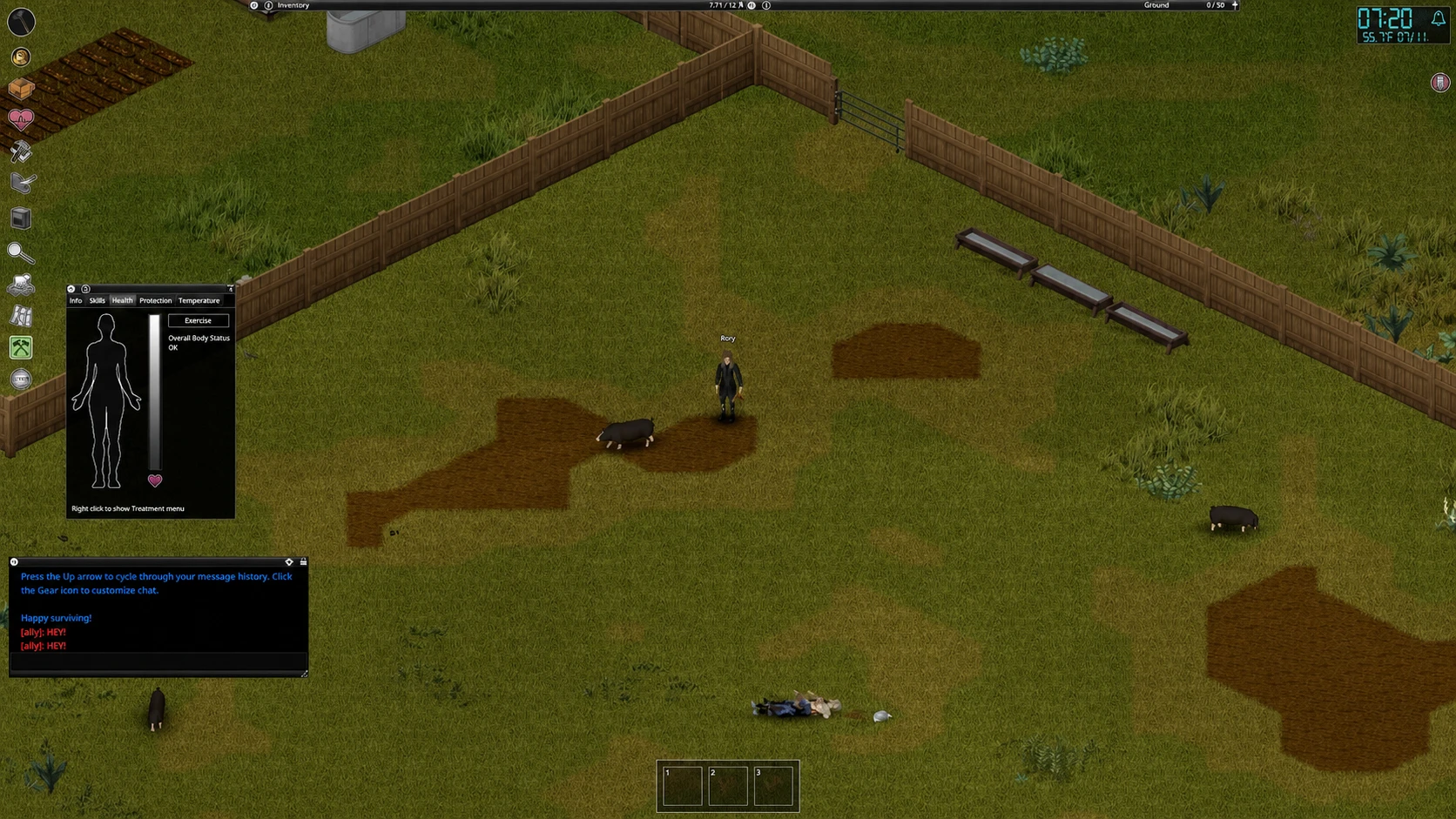 Player with a pig in Project Zomboid