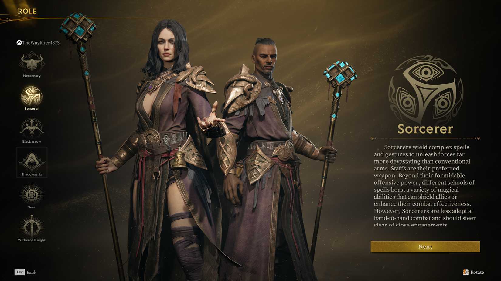 Sorcerer Mistfall Hunter