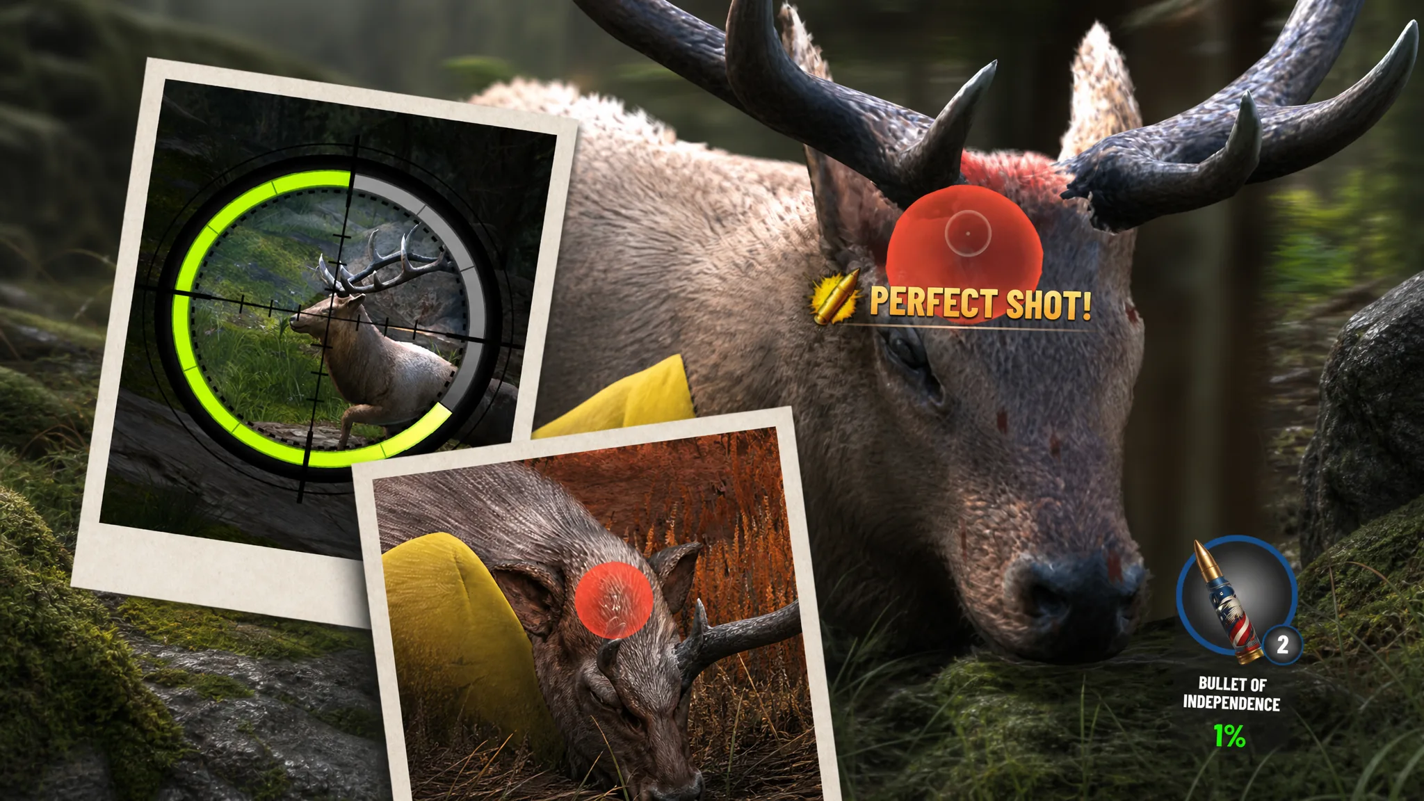Trophy Hunter animals