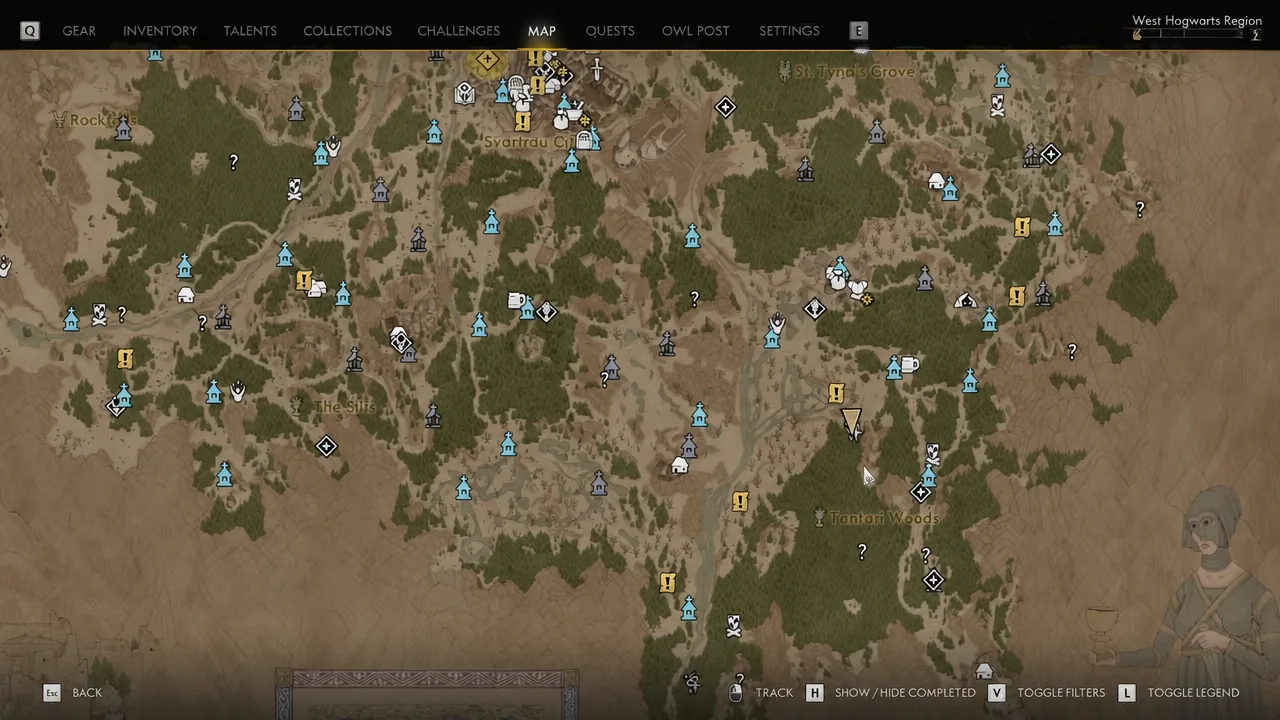 World map open while locating the wisp marker inside Tantari Woods