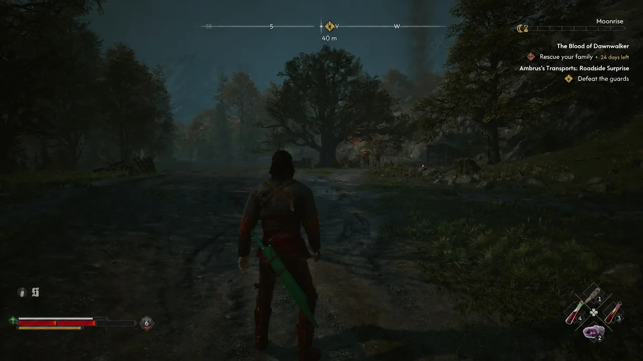 Coen moves down a misty path toward the camp with the Defeat the guards objective tracked on screen.