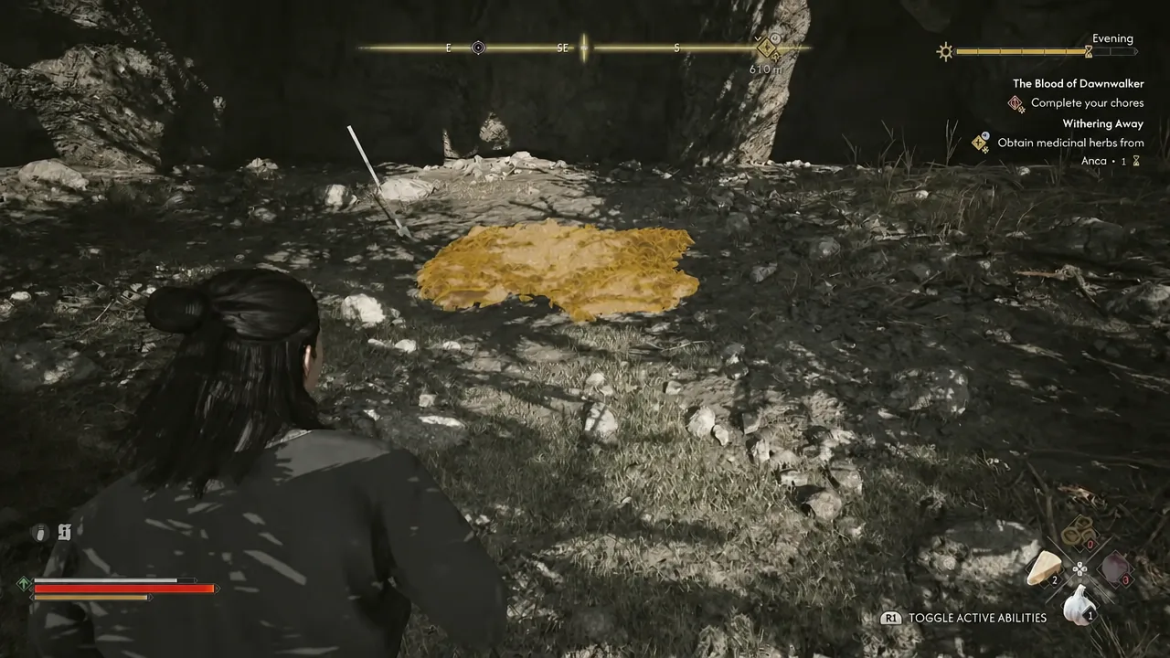 Highlighted interactable objects glowing on the forest floor as Coen approaches them