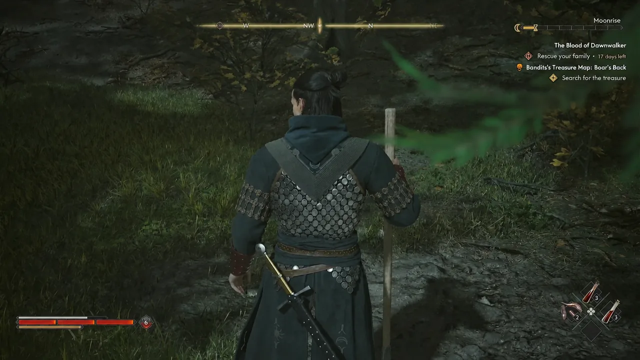 Player character searching the Boar's Back woods at night with the treasure quest tracker on screen