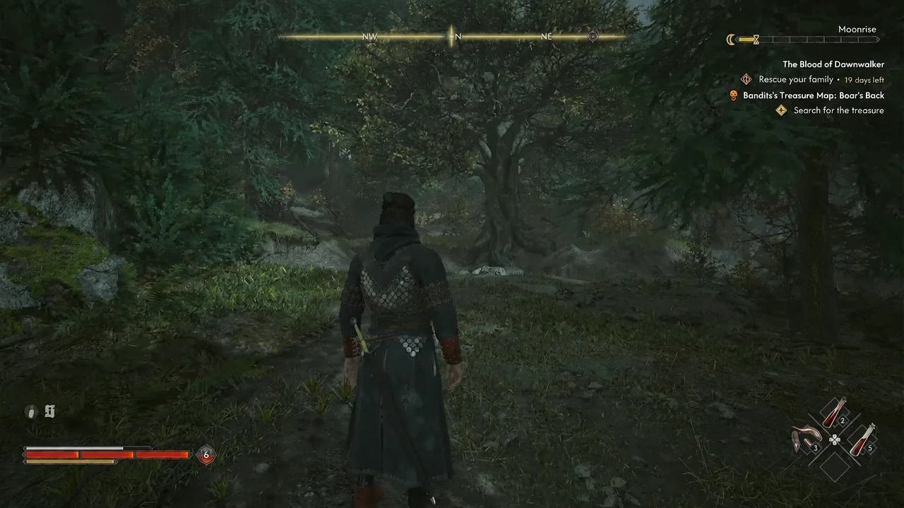Digging the patch of disturbed dirt at the base of the large tree in Boar's Back