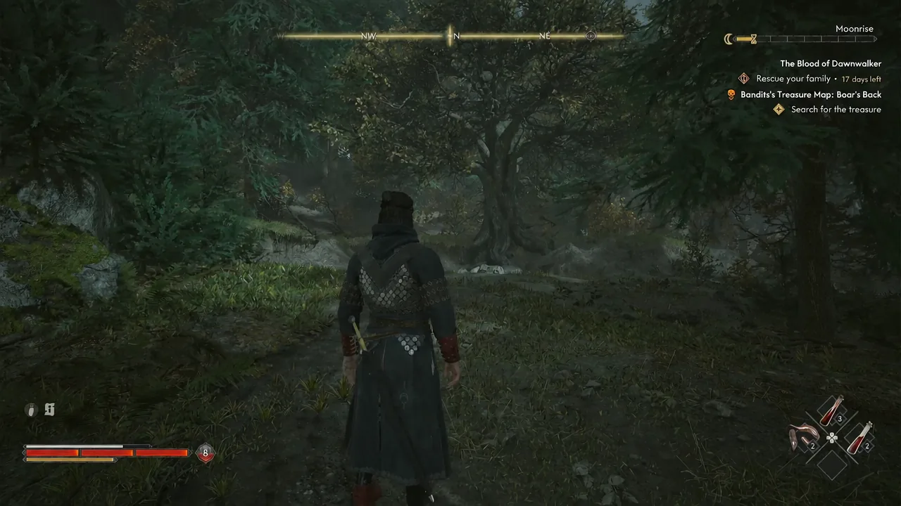 Cutting through the woods on the way to the marked grove.