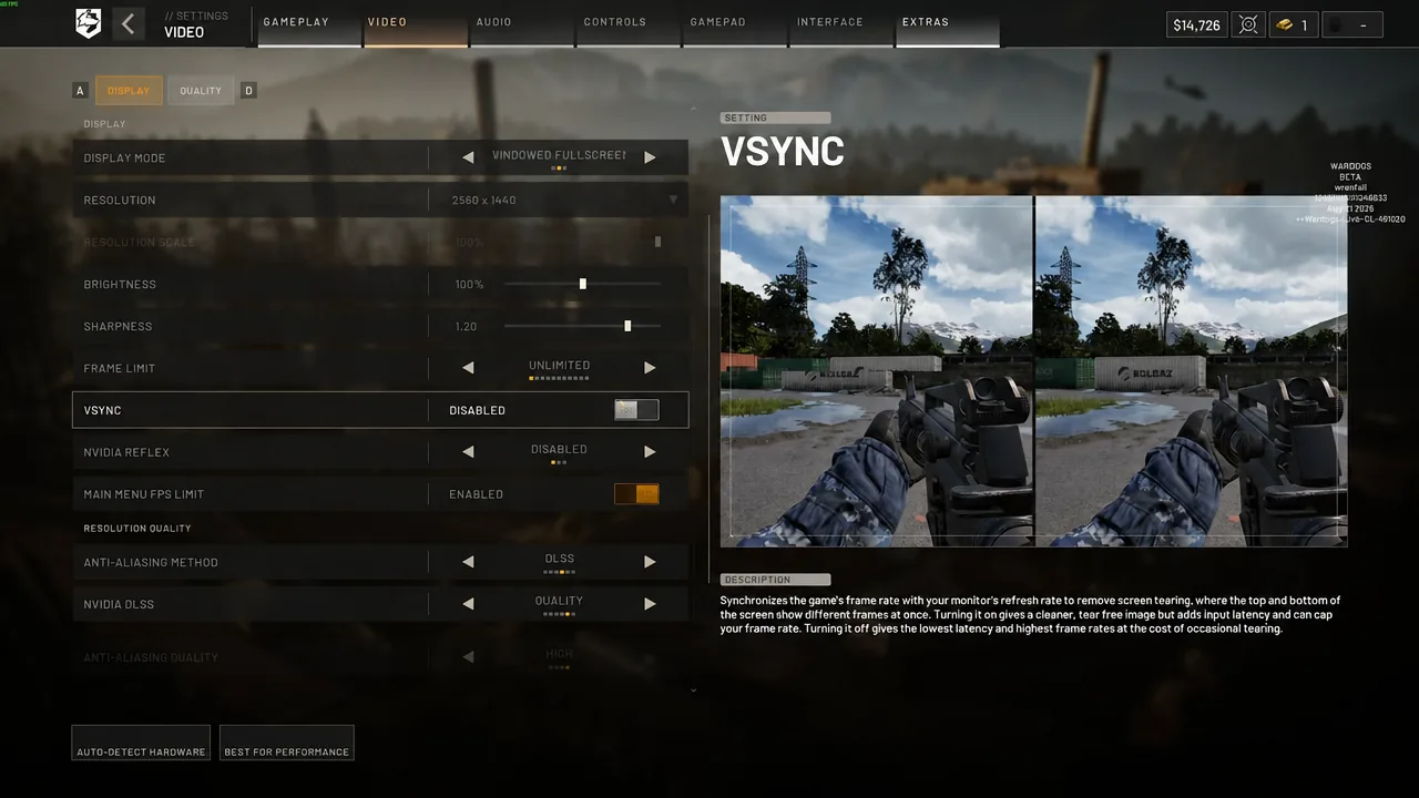 VSync shown as disabled on the WARDOGS Display settings tab