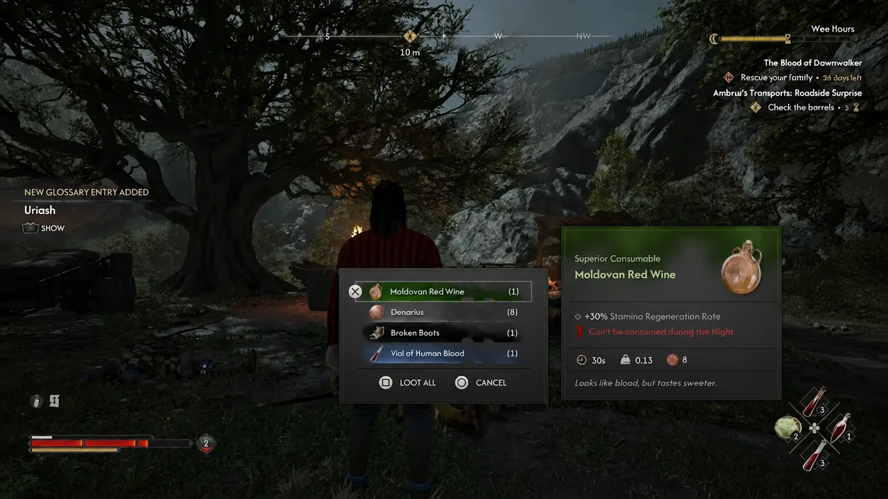 Loot window with Moldovan Red Wine selected and its consumable stats shown