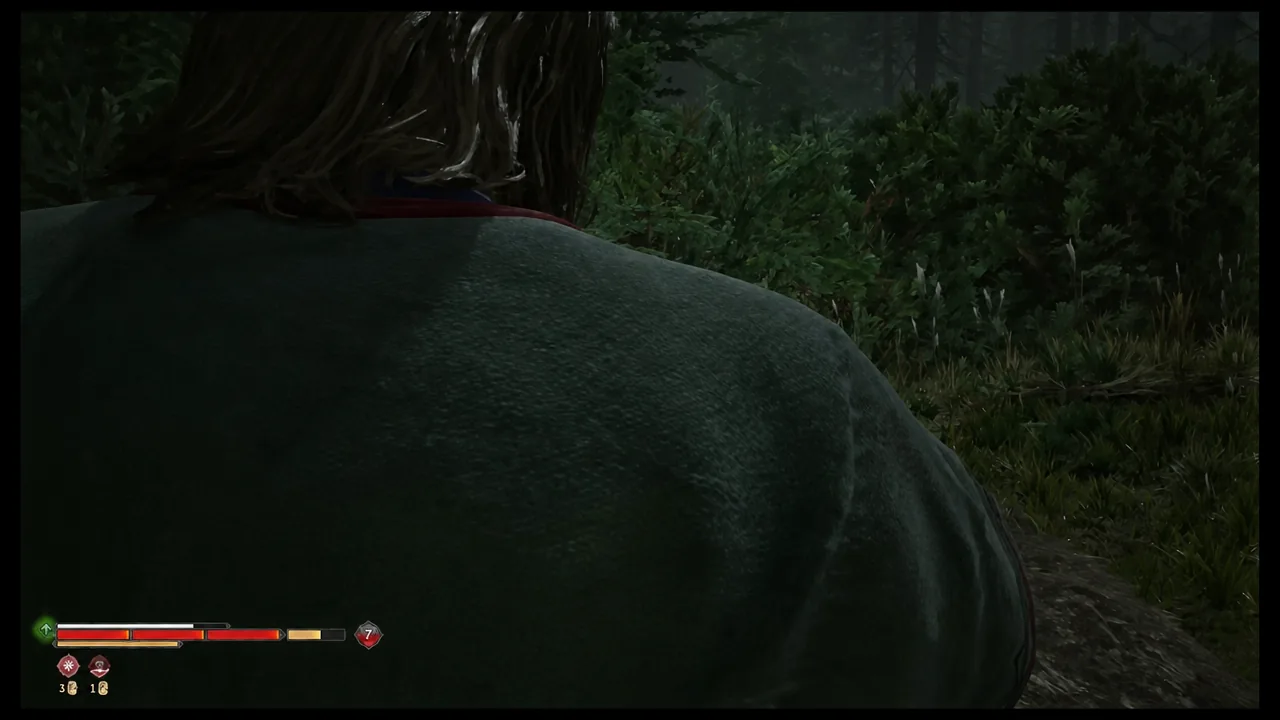 Gameplay screen shows the player character moving through a forest, with the lower-left health/status HUD visible…