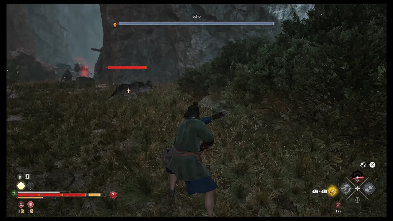 Echo boss health bar on screen during the fight at the bottom of the chasm