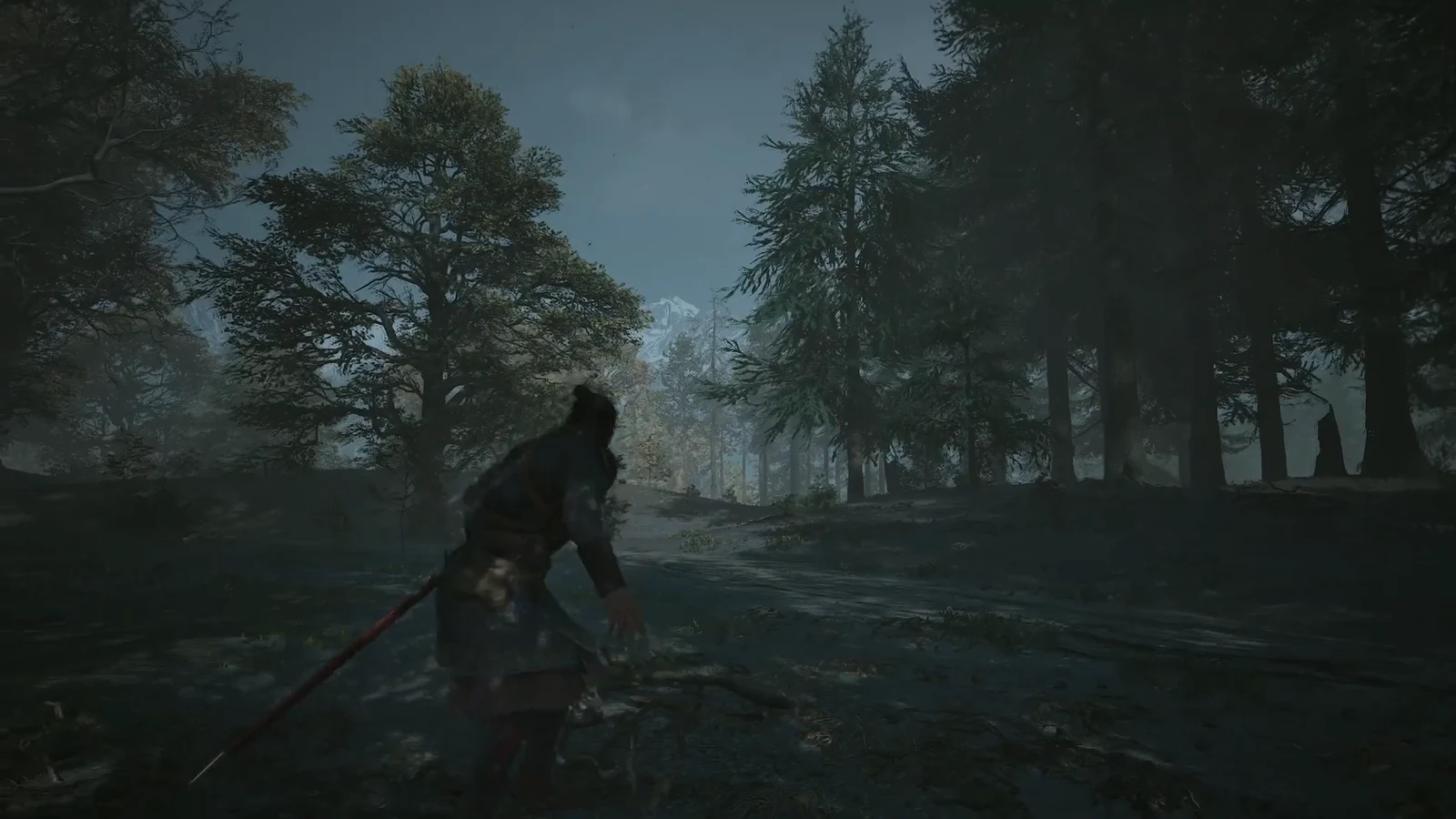 Dark forest gameplay in The Blood of Dawnwalker with the on-screen interface completely hidden
