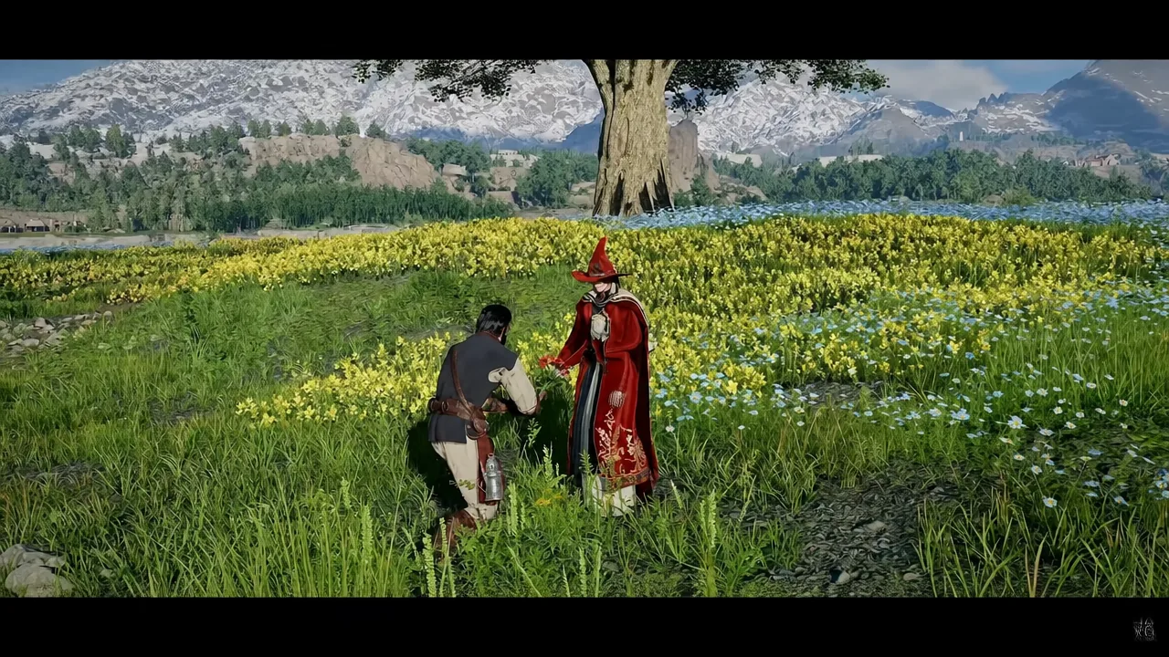 Player character standing with a red-robed wizard in a flower meadow