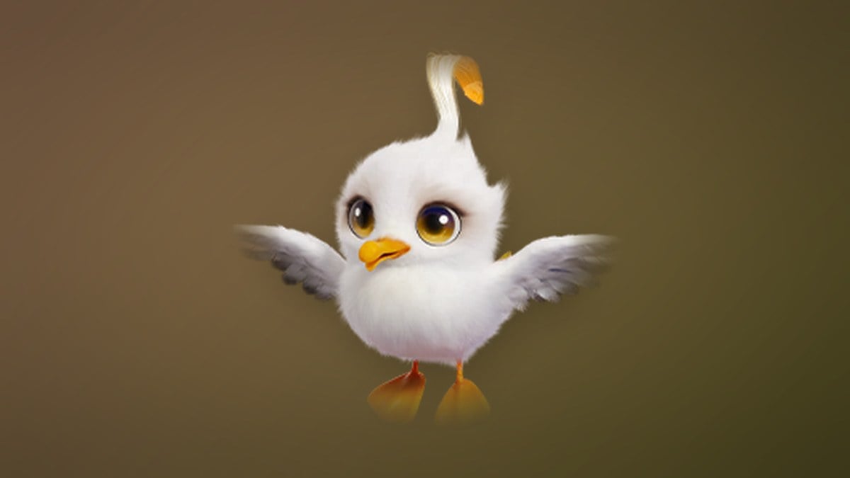 Chirpi
