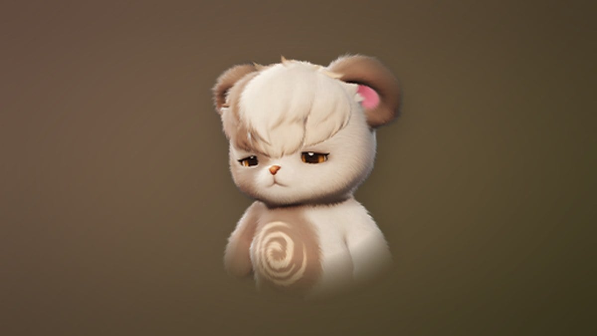 Cubbo