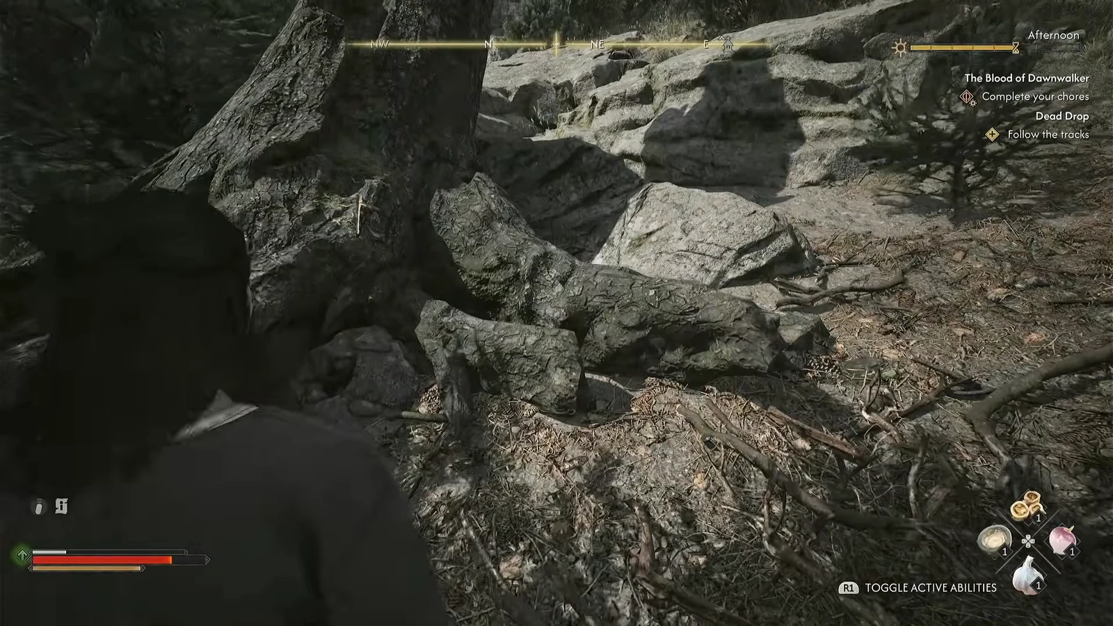 Coen follows footprints uphill through a rocky stretch of forest during the Dead Drop quest