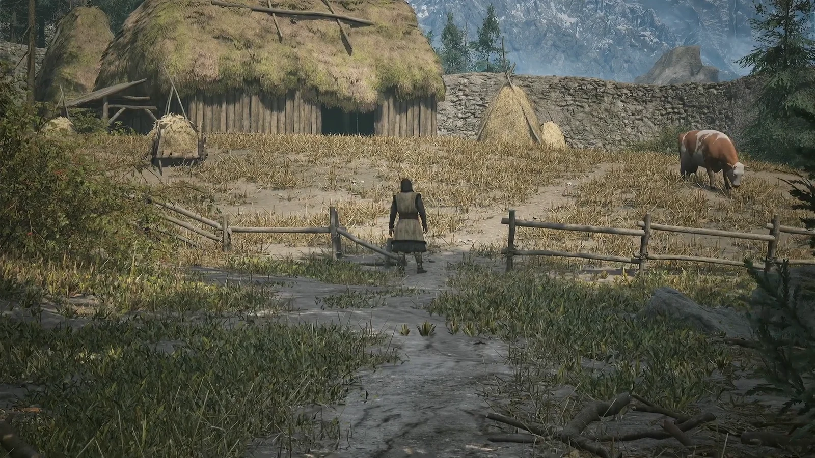 Coen walking back toward Gavril's fenced farmstead past a haystack and a grazing cow