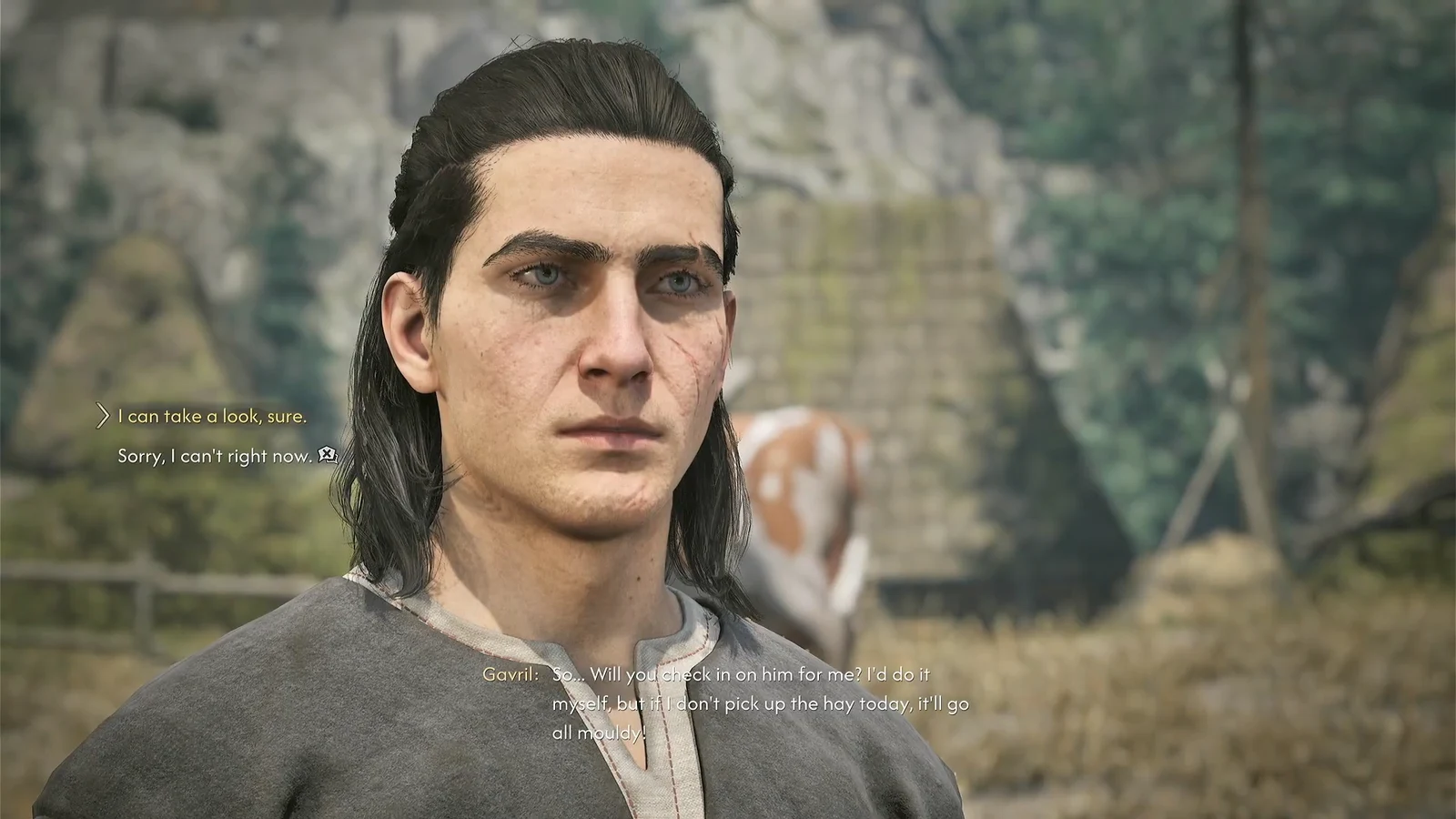 Dialogue wheel with the reply I can take a look, sure. highlighted while talking to Gavril