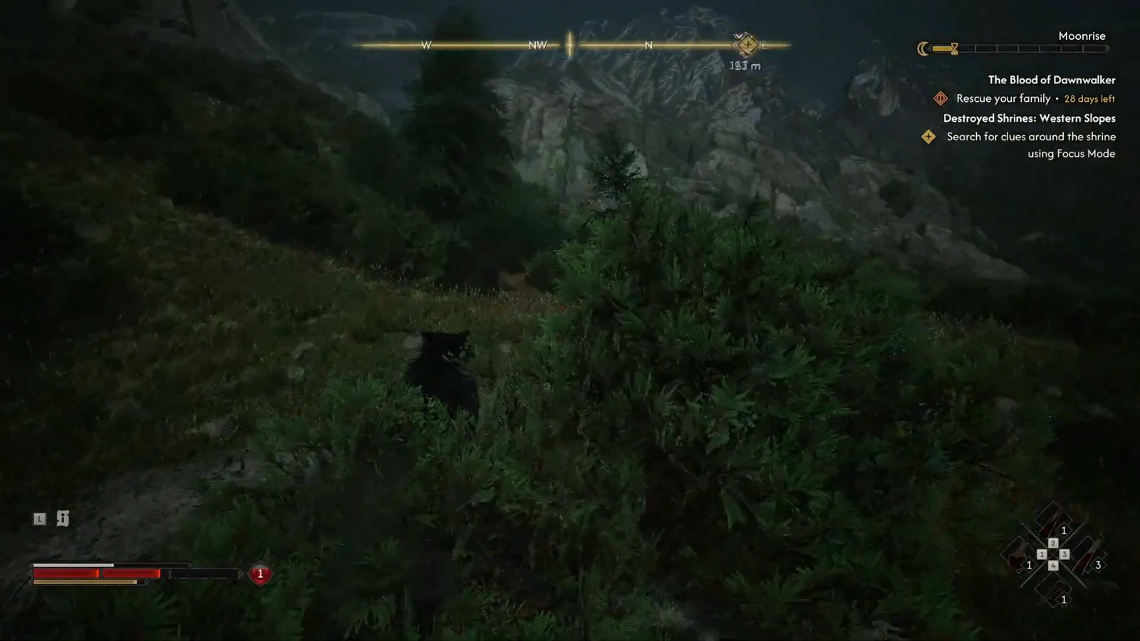 Focus Mode prompt to search the foliage around the ruined Western Slopes shrine for clues