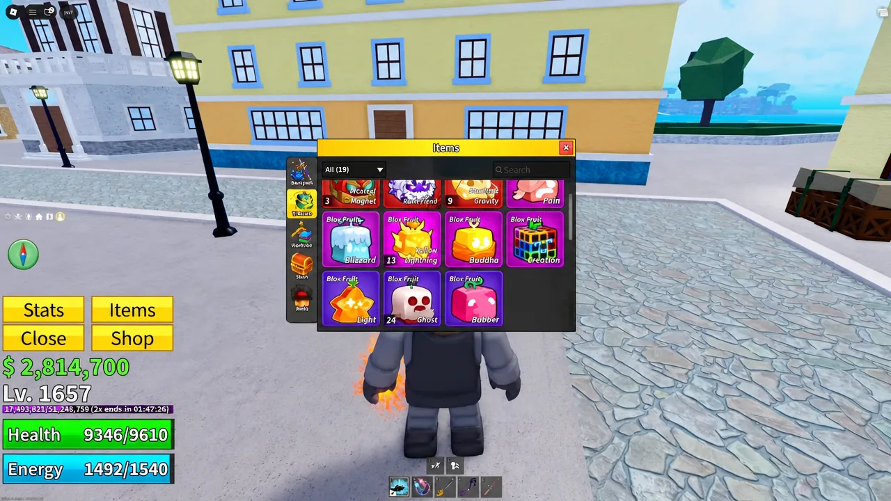 Blox Fruits Items menu showing the inventory grid of owned items