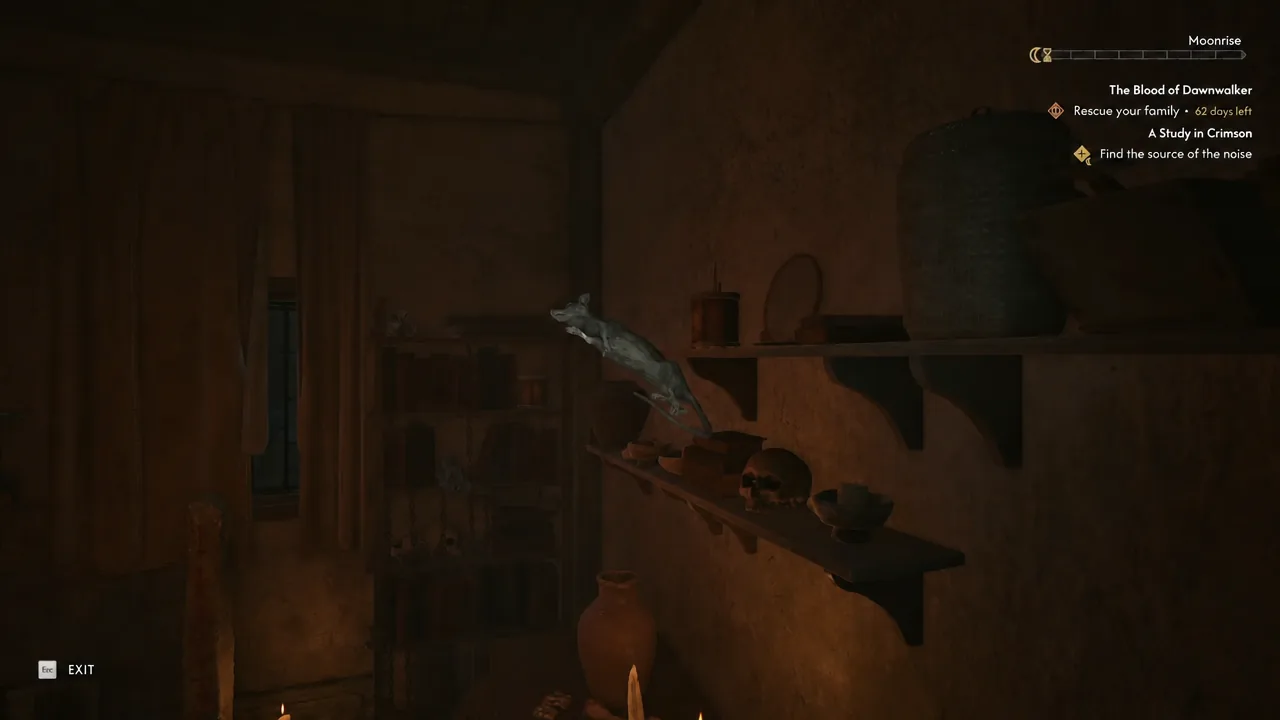 Close inspection of the drained dead rat taken from the shelf, held up for examination