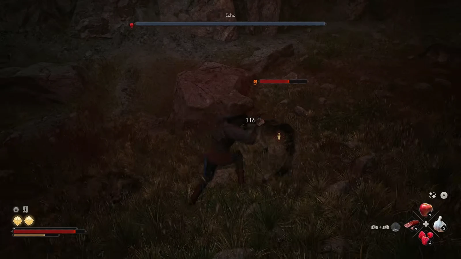 Coen strikes a red-marked enemy for 116 damage during the Echo encounter in the chasm