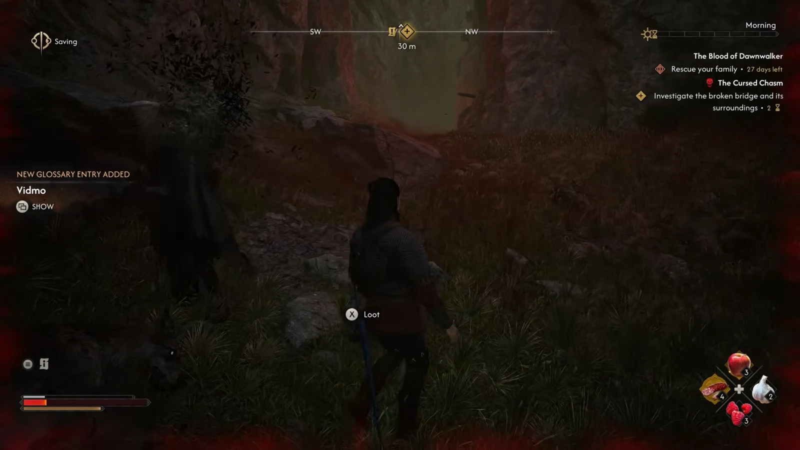 Loot prompt on screen in the Cursed Chasm alongside a new Vidmo glossary entry notification