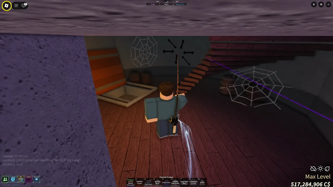 Interior of the skull cave on Forsaken Shores in Fisch