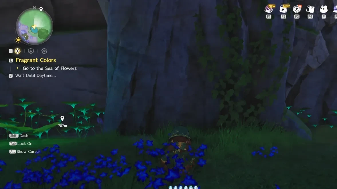 Player among the flowers in Forest of Falling Stars with the objective text on screen