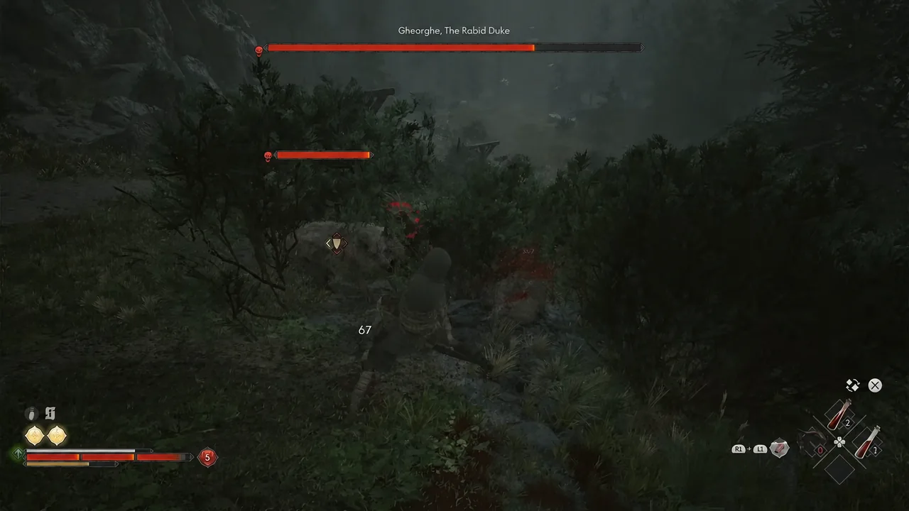 Coen striking Gheorghe, The Rabid Duke, with the miniboss health bar shown on screen