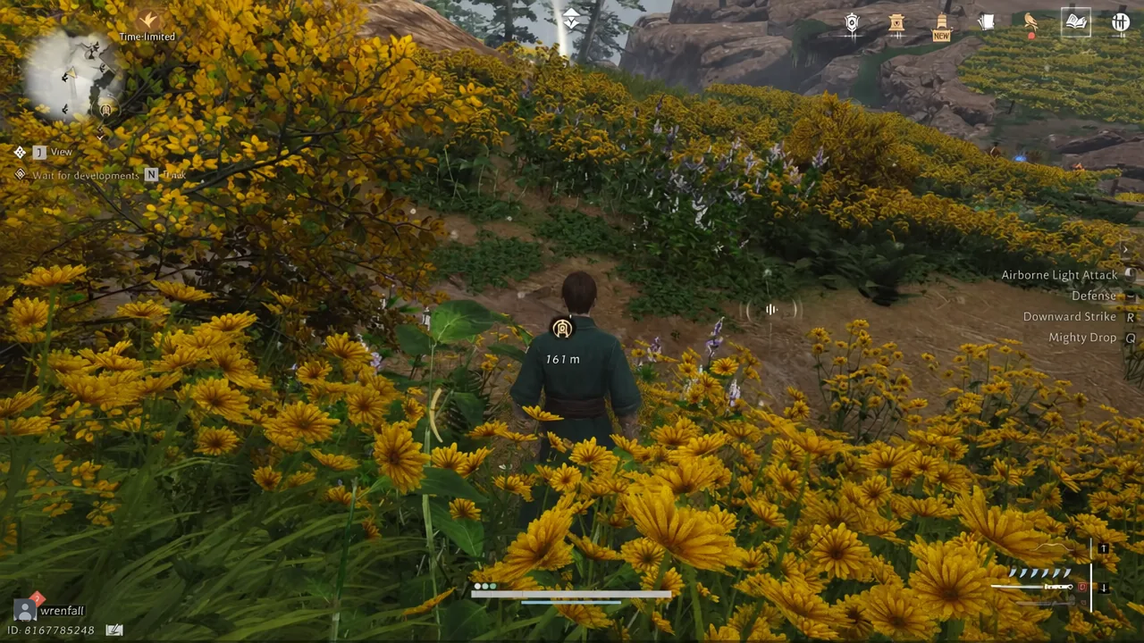 Player running through the flower field toward the 161 m quest marker above Goldflow Slope