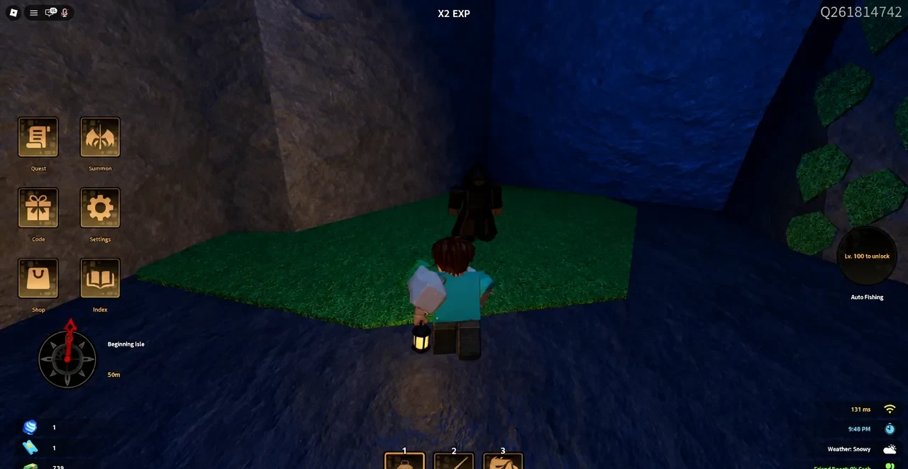 Player character walking up to a black-robed NPC on Beginning Isle to level characters