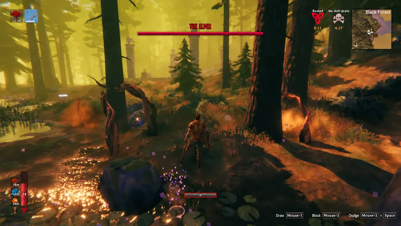 The Elder boss bar appears at the top of the screen as the player moves through the Black Forest with a bow ready