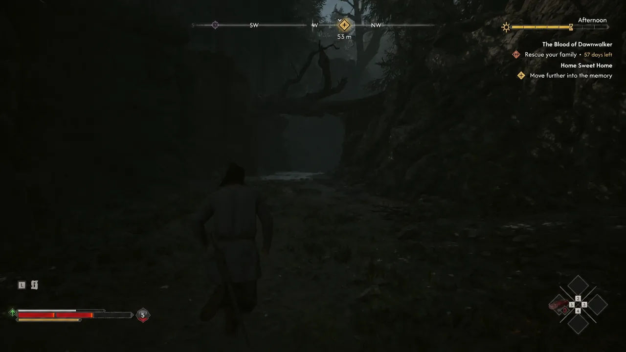 Coen moving through dark woods toward the river with the memory objective active